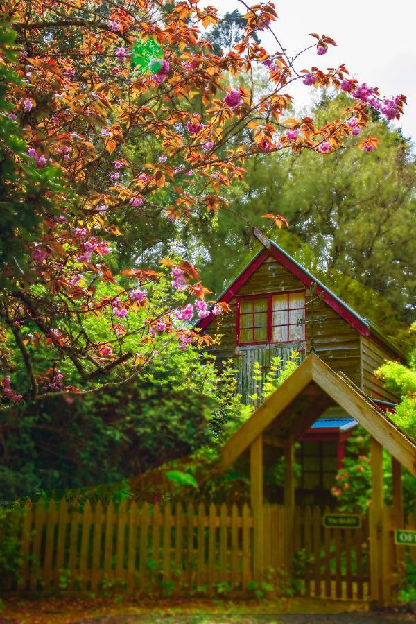 Arnica Views Summit Retreat Bed & Breakfast Mount Dandenong Exterior photo
