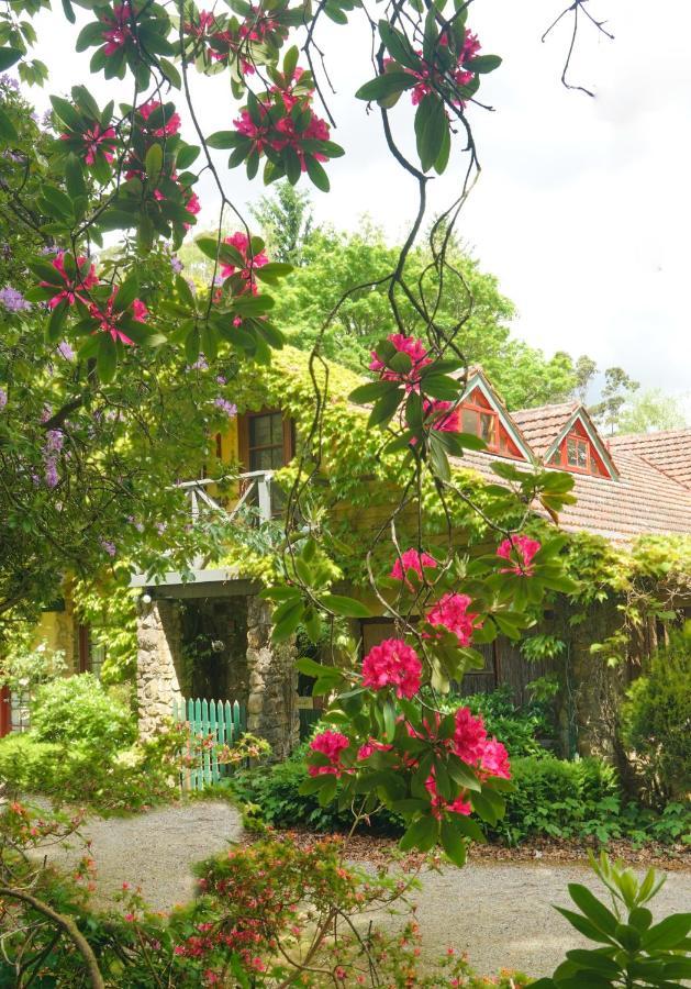 Arnica Views Summit Retreat Bed & Breakfast Mount Dandenong Exterior photo